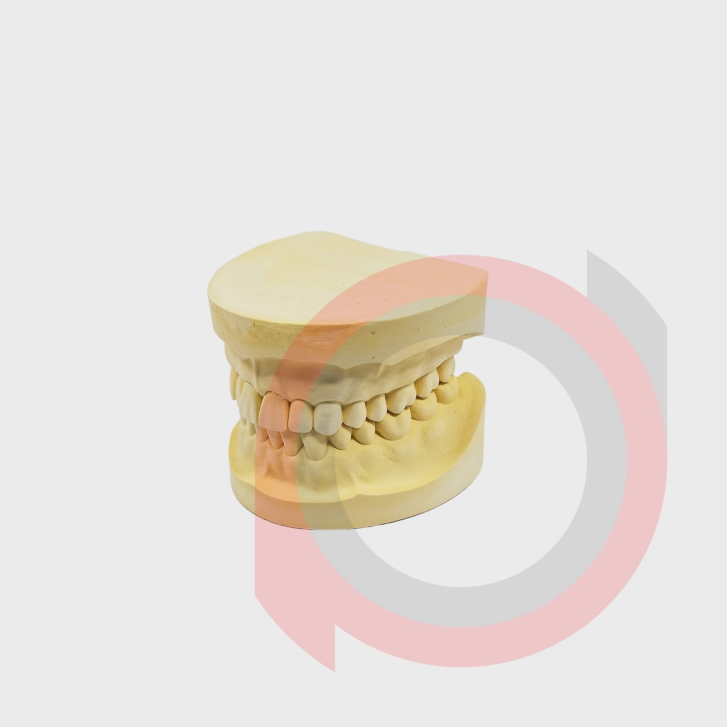 Dentolous (Model Cast)