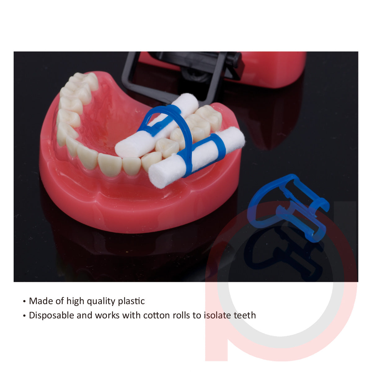 Cotton Roll Holder Isolator