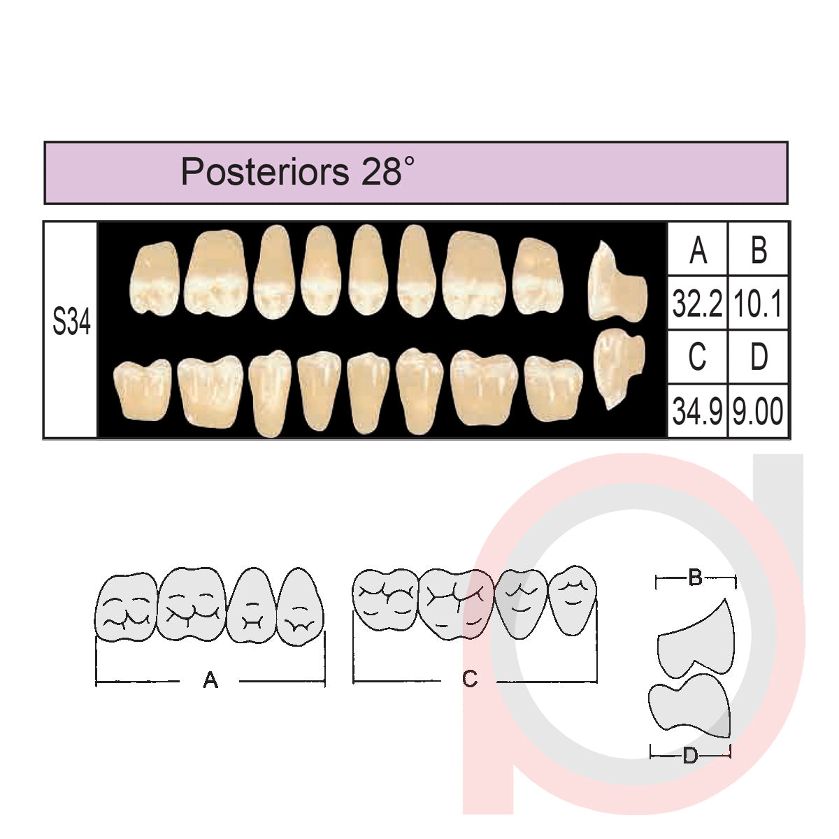 SND Two Layer Posterior (1x8)