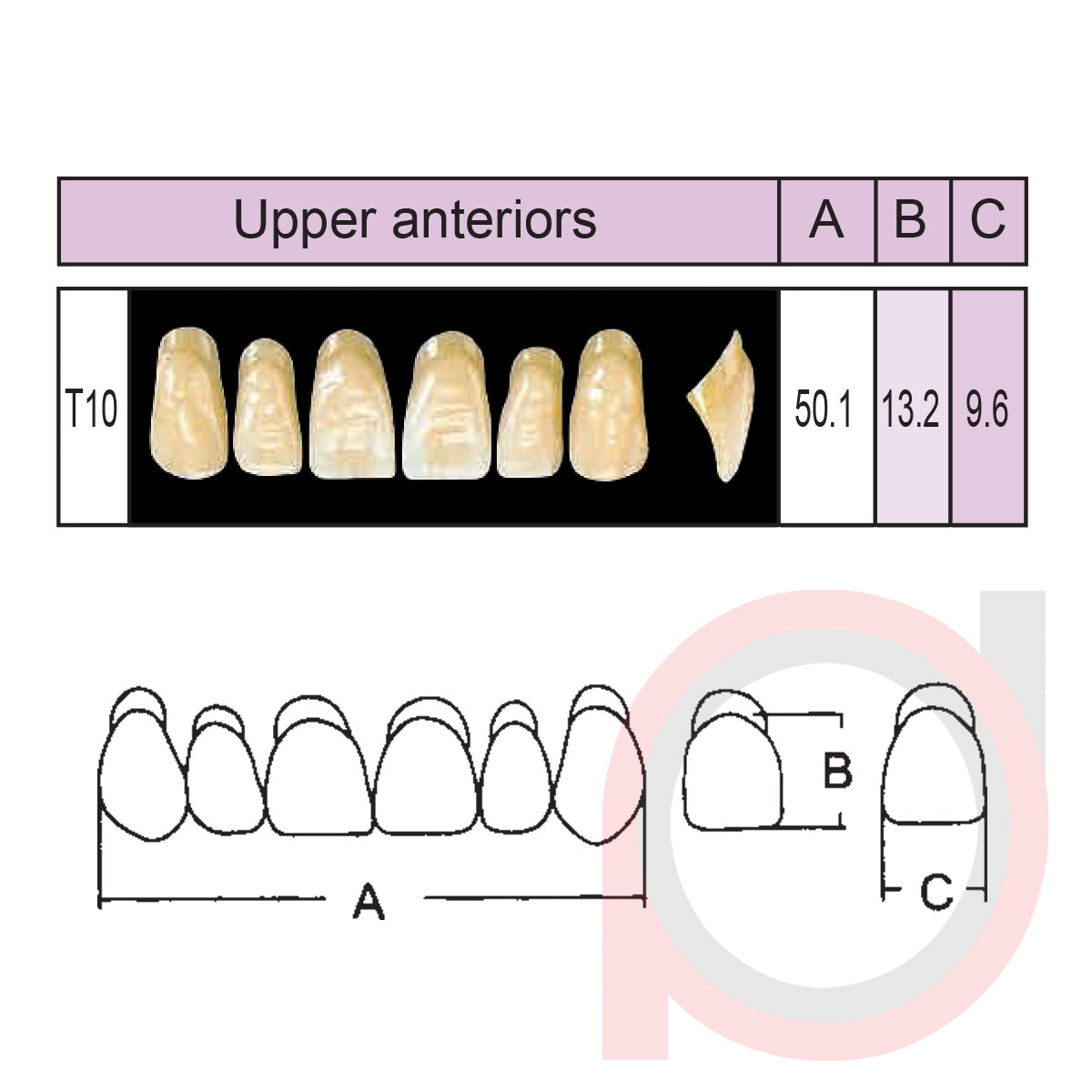 SND Two Layer Upper Anterior (1x6)