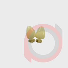 Load image into Gallery viewer, Crown Polyc
