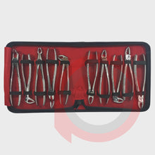Load image into Gallery viewer, Forcep Set Adult
