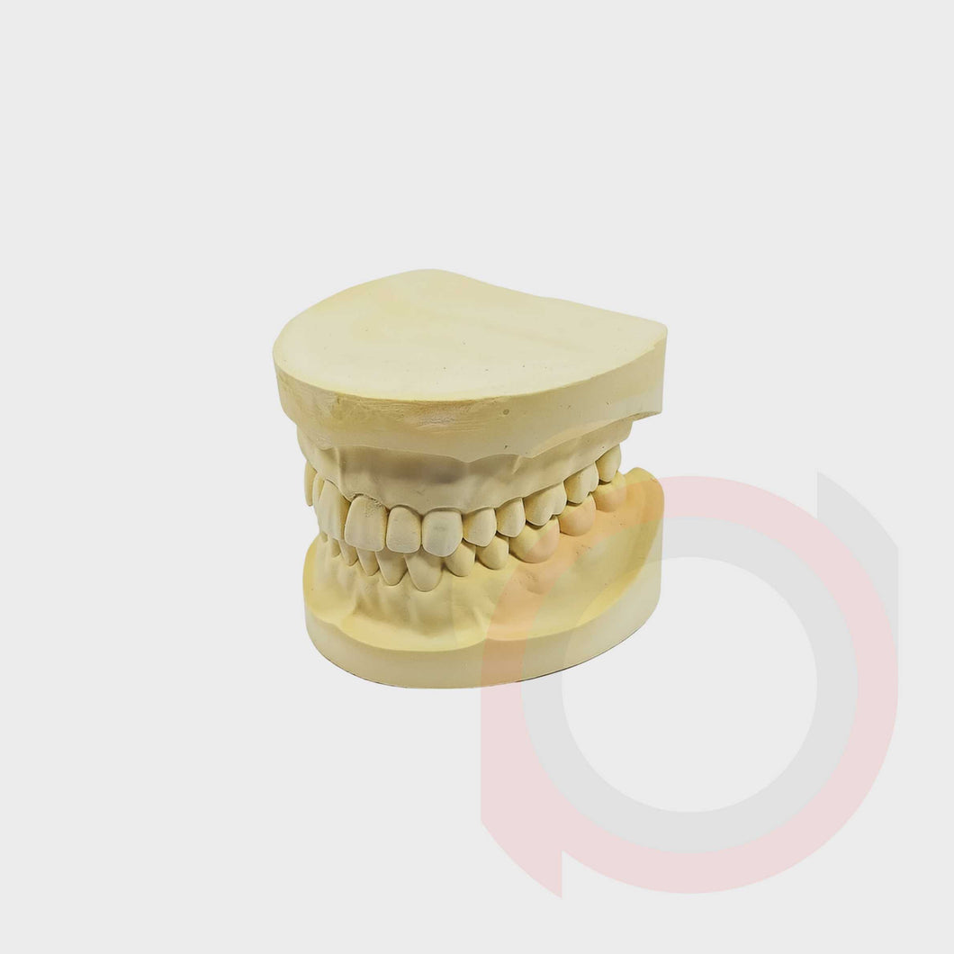 Dentolous (Model Cast) – Denpres Dental Depot Corporation