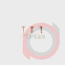 Load image into Gallery viewer, Endo Tooth Model
