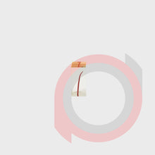 Load image into Gallery viewer, Endo Tooth Model
