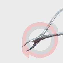 Load image into Gallery viewer, Forceps
