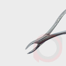 Load image into Gallery viewer, Forceps
