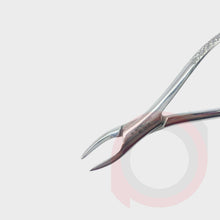 Load image into Gallery viewer, Forceps

