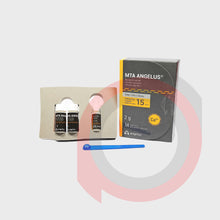 Load image into Gallery viewer, MTA Angelus
