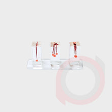 Load image into Gallery viewer, Endo Tooth Model

