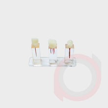 Load image into Gallery viewer, Endo Tooth Model

