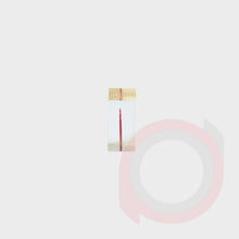 Load image into Gallery viewer, Endo Tooth Model
