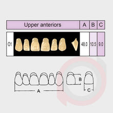Load image into Gallery viewer, SND Two Layer Upper Anterior (1x6)
