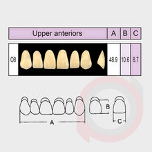 Load image into Gallery viewer, SND Two Layer Upper Anterior (1x6)
