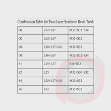 Load image into Gallery viewer, SND Two Layer Posterior (1x8)
