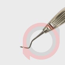 Load image into Gallery viewer, Root Tip Pik 2
