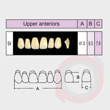 Load image into Gallery viewer, SND Two Layer Upper Anterior (1x6)
