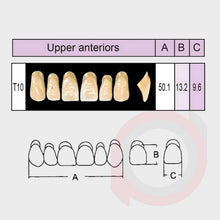 Load image into Gallery viewer, SND Two Layer Upper Anterior (1x6)
