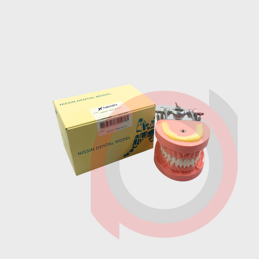 Typodont Set w/ Articulator