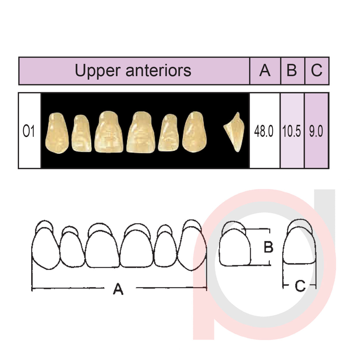 SND Two Layer Upper Anterior (1x6)