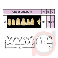 Load image into Gallery viewer, SND Two Layer Upper Anterior (1x6)
