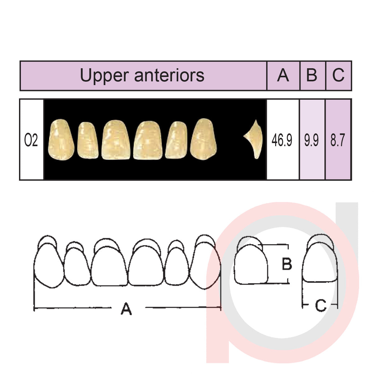 SND Two Layer Upper Anterior (1x6)