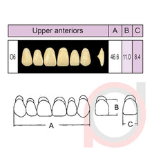 Load image into Gallery viewer, SND Two Layer Upper Anterior (1x6)

