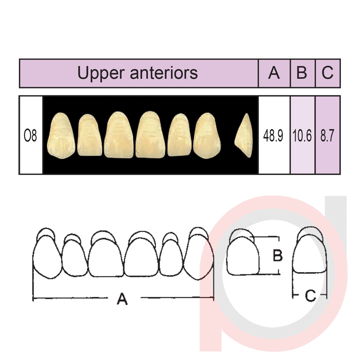 SND Two Layer Upper Anterior (1x6)