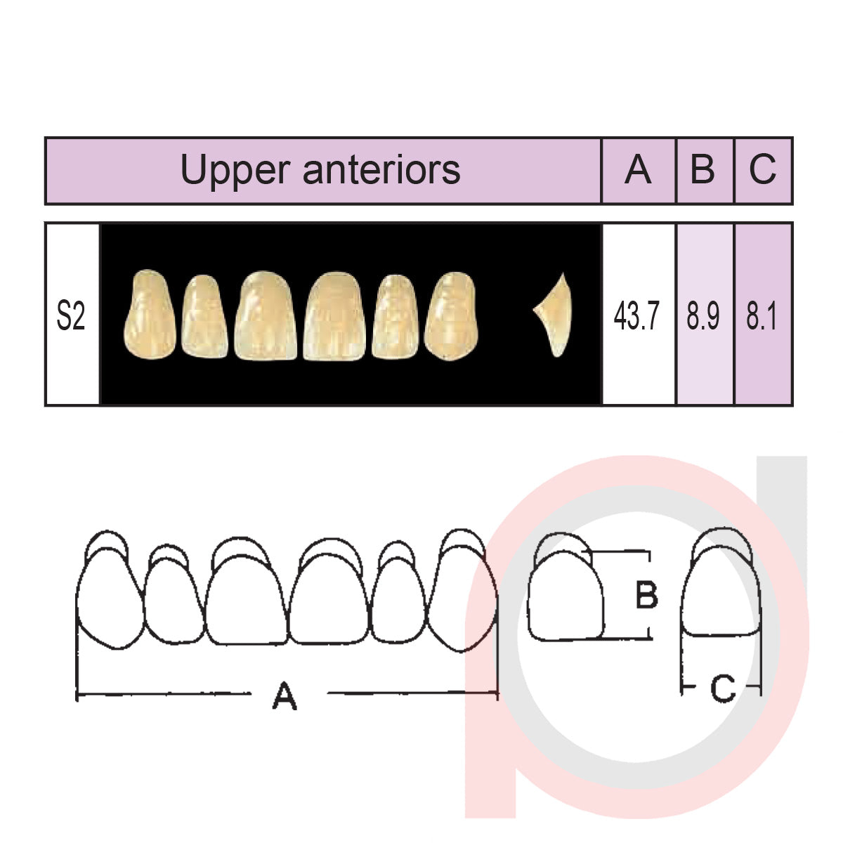 SND Two Layer Upper Anterior (1x6)