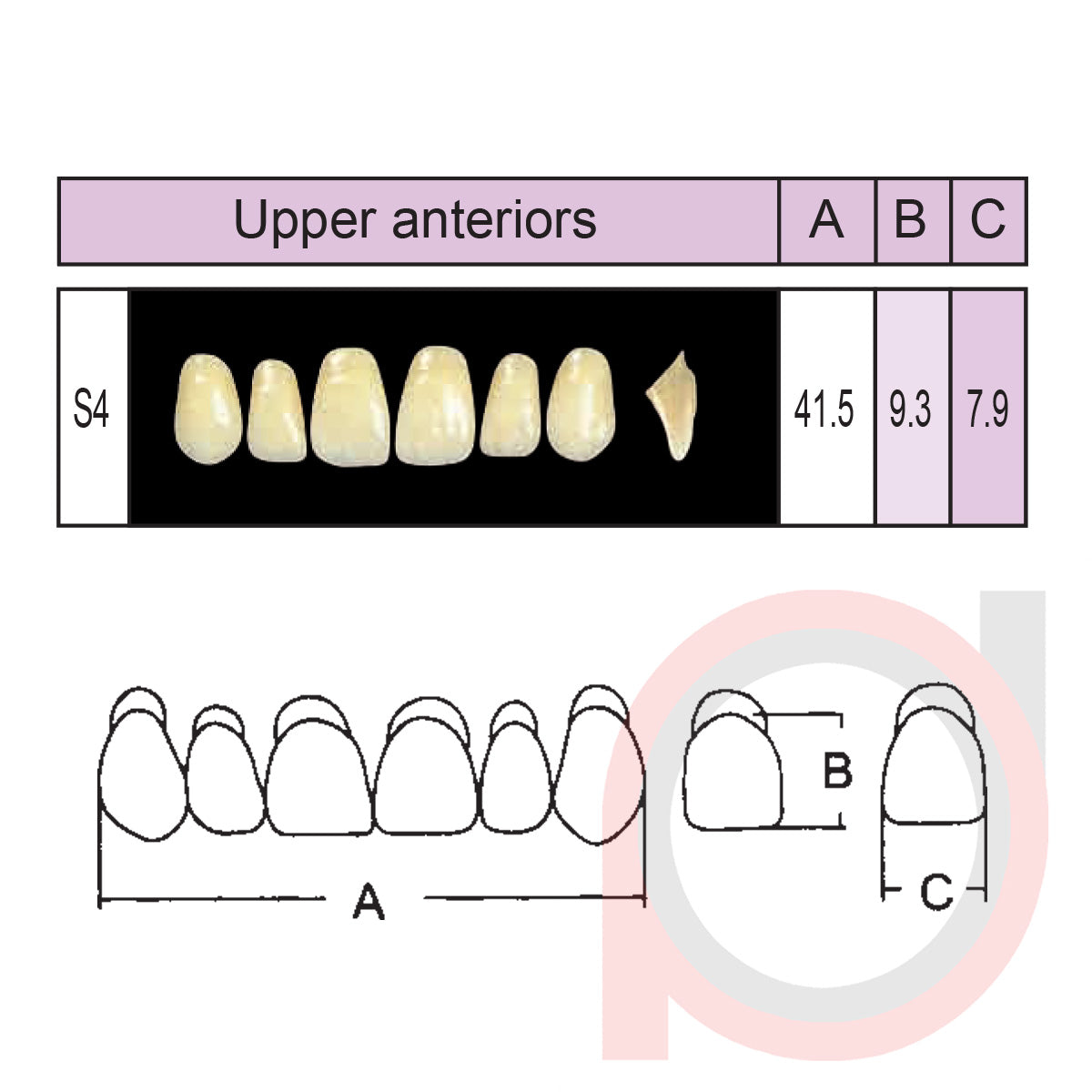 SND Two Layer Upper Anterior (1x6)