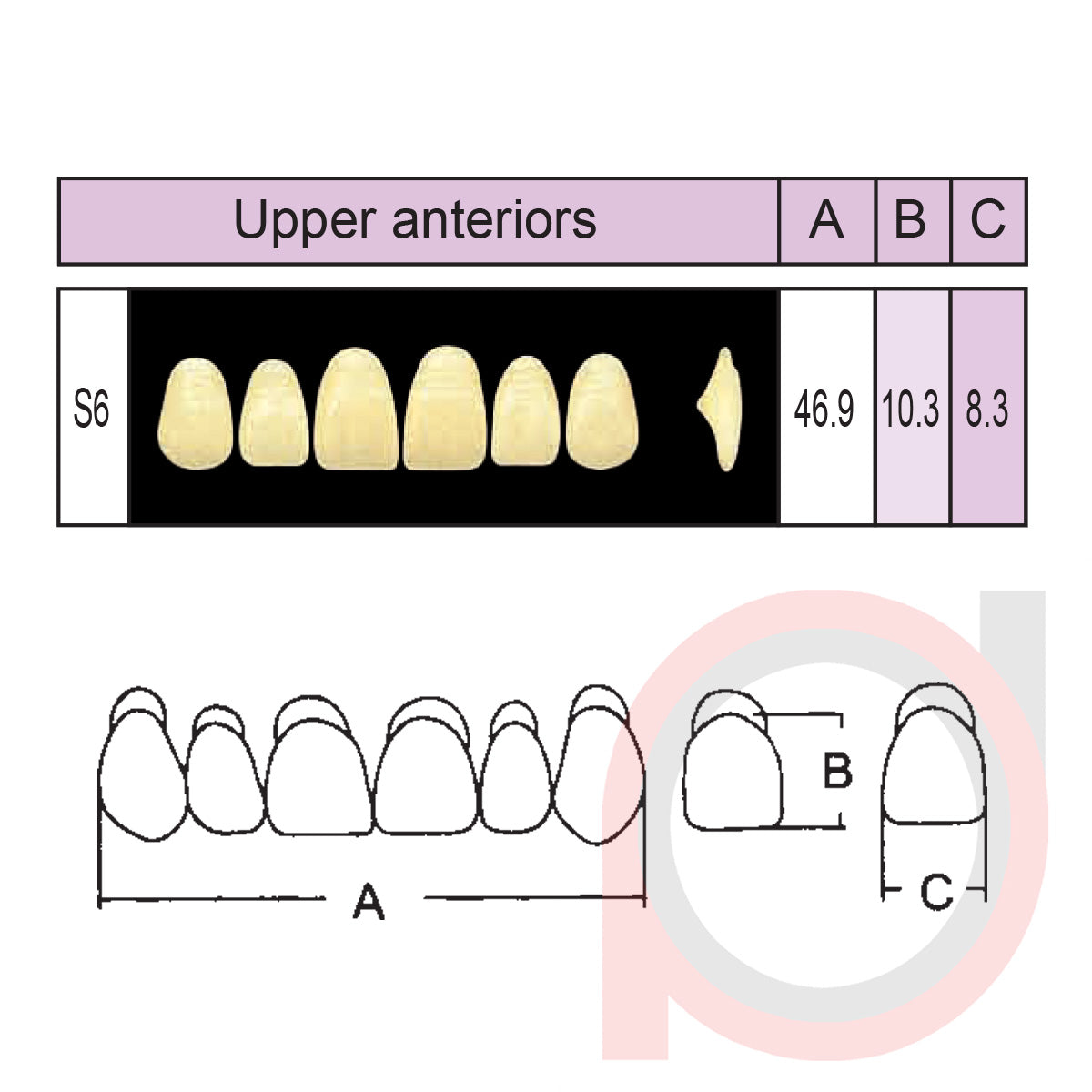SND Two Layer Upper Anterior (1x6)