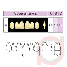 Load image into Gallery viewer, SND Two Layer Upper Anterior (1x6)
