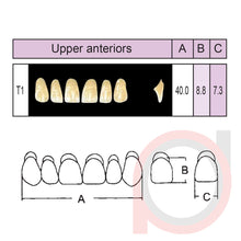 Load image into Gallery viewer, SND Two Layer Upper Anterior (1x6)
