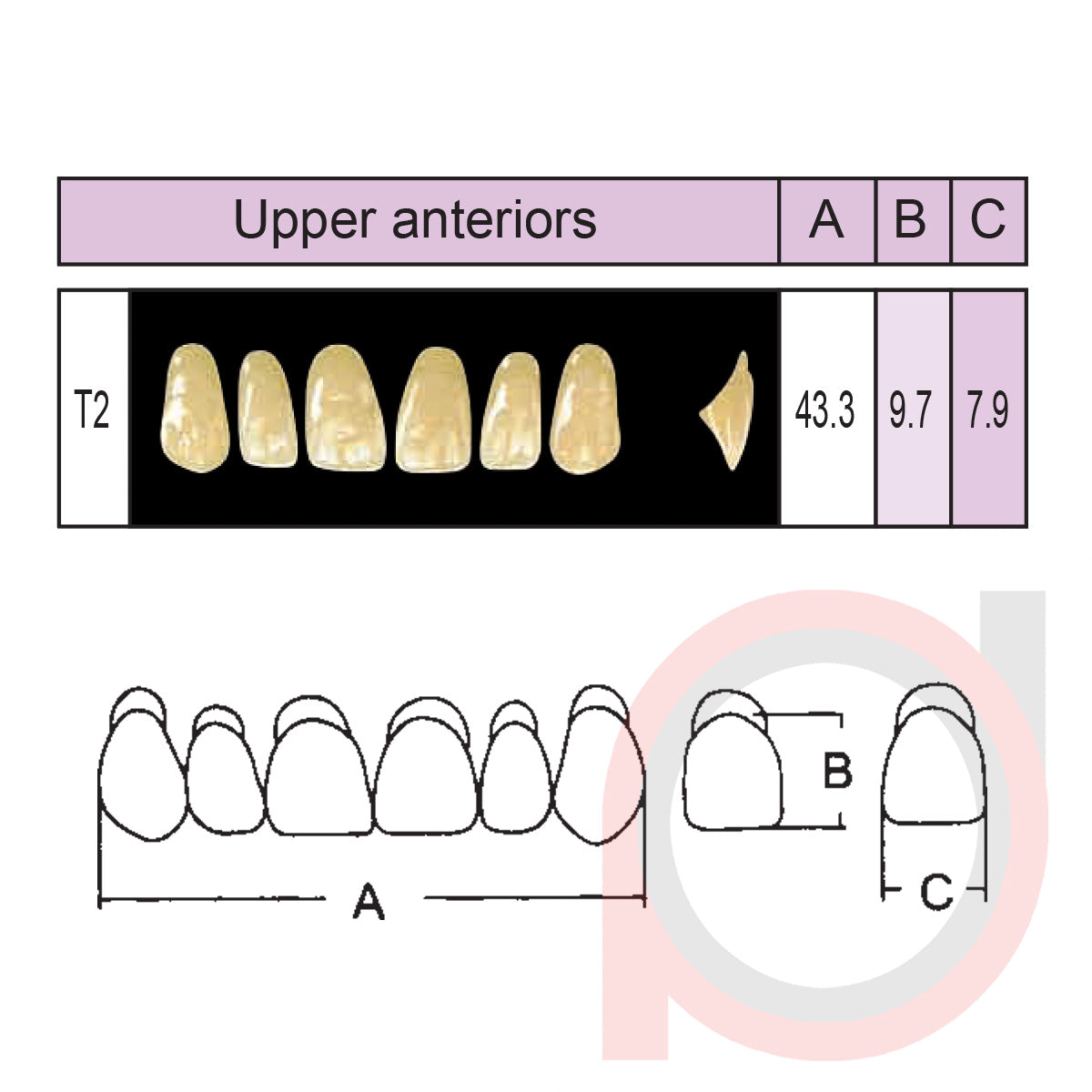 SND Two Layer Upper Anterior (1x6)