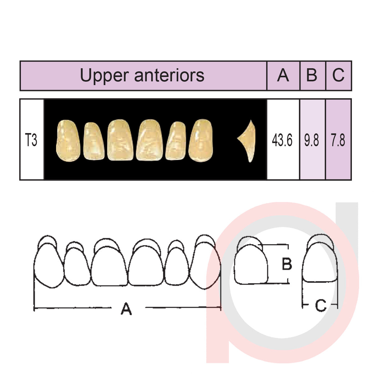 SND Two Layer Upper Anterior (1x6)
