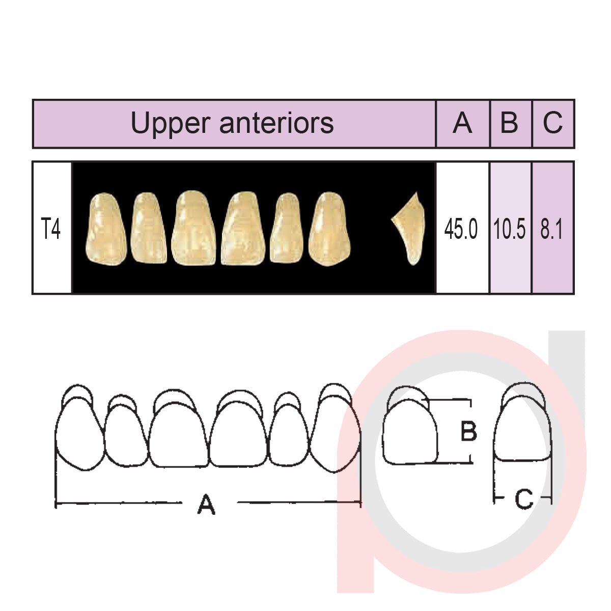 SND Two Layer Upper Anterior (1x6)