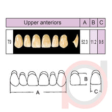 Load image into Gallery viewer, SND Two Layer Upper Anterior (1x6)
